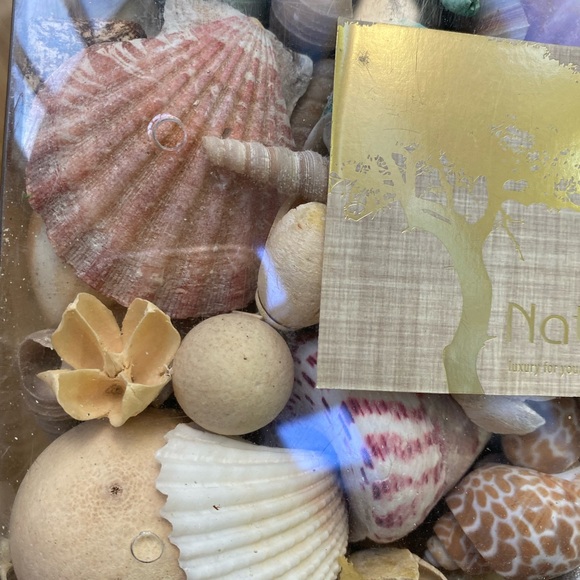 NEW! Fragrant Coastal Apothecary Glass Filler - Picture 4 of 4